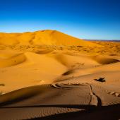 5 activiteiten in de Sahara